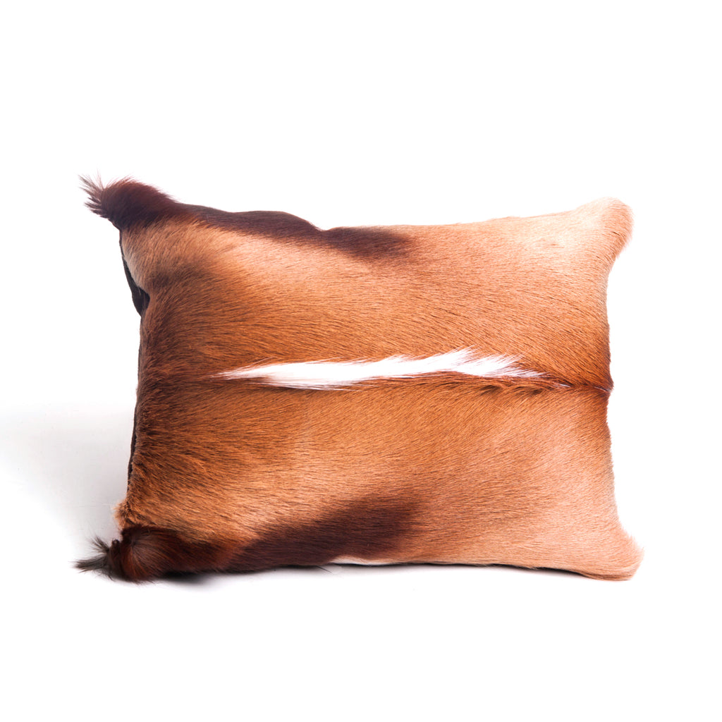 Springbok Pillows, Natural